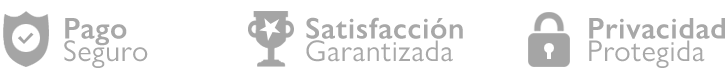 pago-seguro